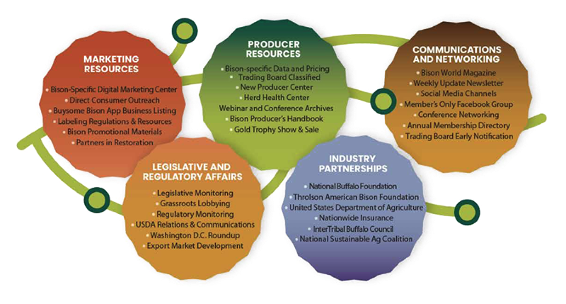 National Bison Association connections graph